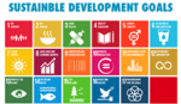 Sustainable Development Goals